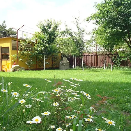 Affittacamere Pensiunea Casa Soarelui 3*