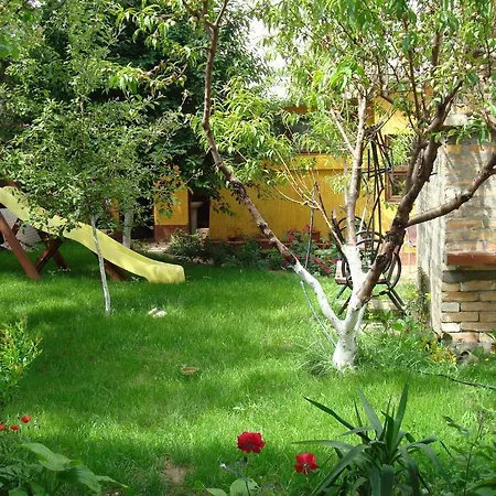 بيت ضيافة Pensiunea Casa Soarelui إيفوري نورد