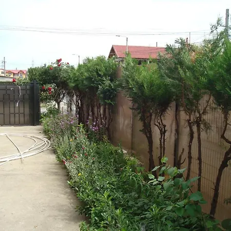 بيت ضيافة Pensiunea Casa Soarelui 3*