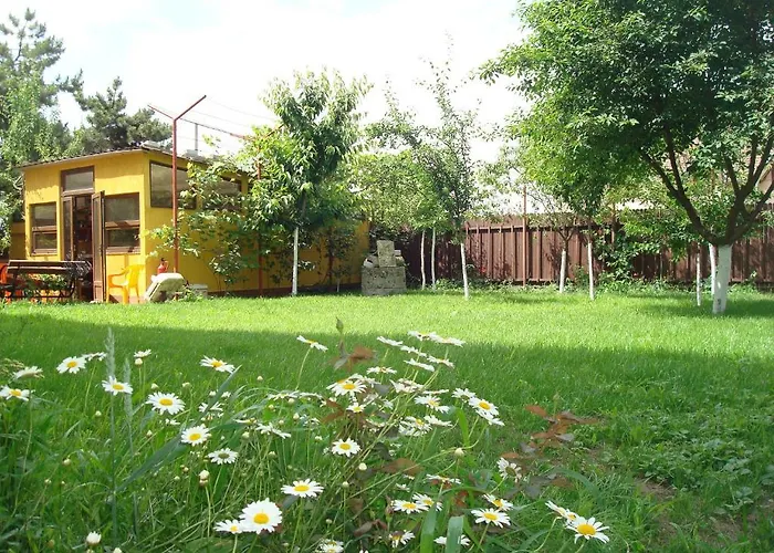 Vendégház Pensiunea Casa Soarelui 3*