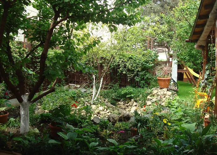 Pensiunea Casa Soarelui