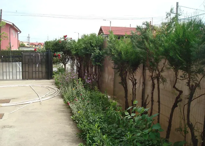 Vendégház Pensiunea Casa Soarelui 3*