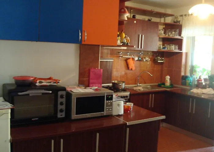 Pensiunea Casa Soarelui 3*